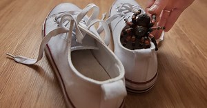 10 of the easiest April Fools’ pranks to play on the kids this year - National | Globalnews.ca