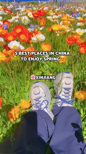 1.6K views · 21 reactions | 5 PLACES IN XINJIANG TO ENJOY SPRING!...