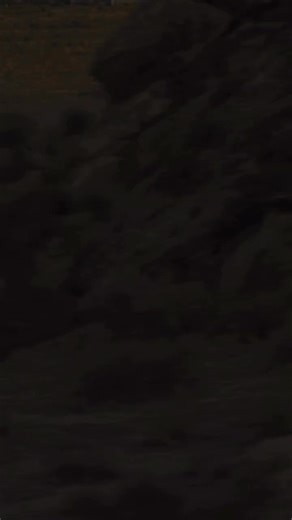 8.7K views · 24 reactions | BREAKING: Caitlin Clark's Nike signature collection is coming in 2026  | Just Fresh Kicks | Facebook