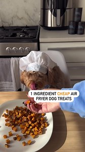 5.3K views · 48 reactions | CHEAP Air Fryer Dog Treats!  The easiest and most affordable treats to make! Only 2 cents a treat and low calorie ✨ 1. Cut your sweet potatoes into bite-sized pieces 2. Spray with coconut oil 3. Air fry for 12 min at 400 degrees 4. Follow @dogishuman for more #sweetpotato #oneingredient #quickrecipe #easy #dogsofinstagram #dogishuman #dogreels #dogreelsofinstagram #doghealthtips #dogtreats #dogtreat #dogmom #healthypup | Dog is Human | Facebook