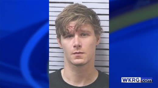Mobile County man faces 5 child pornography possession charges | WKRG.com