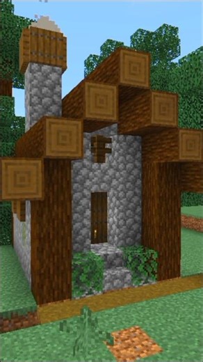 A house built by a villager...