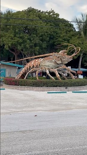 Key Largo Florida Trip #reels #florida #keylargo #floridakeys #random #vacation ￼