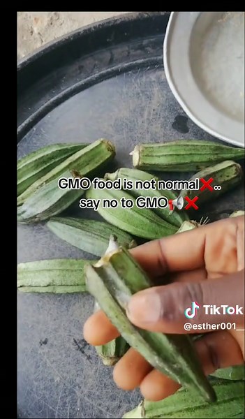 Understanding the Risks of GMO Food