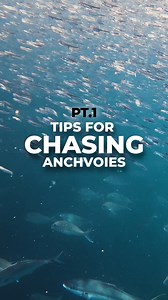 5.5K views · 33 reactions | Latest locations of Anchovy Schools | Ocean Angler | Facebook