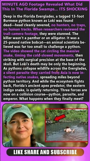 1 MINUTE AGO! Footage Revealed What Did This In The Florida Swamps... ITS SHOCKING
