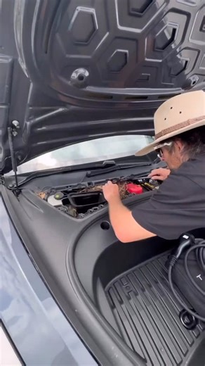 Hudson Snake Catching Gold Coast on Instagram: "Bonus snake 🐍 with your Tesla 🚙 Marc untangled this coastal carpet Python from a Tesla front hood. Snakes are avid hitchhikers this season. #hudsonsnakecatching #snakecatcher #goldcoast"