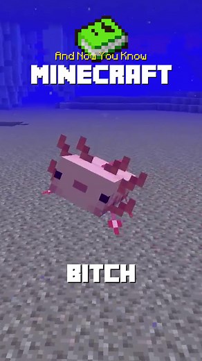 Axolotls: Your Best Friends in Minecraft