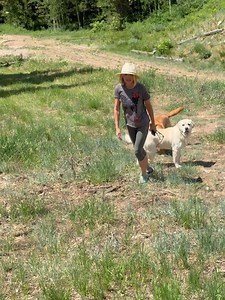 Roma Downey on Reels