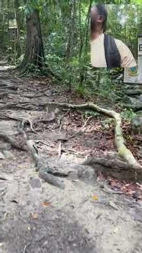 🌿 Deep Inside Malaysia's Rainforest... I Was Speechless! 😍