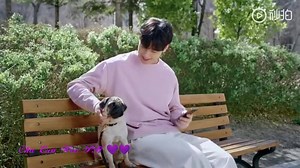 29K views · 5.4K reactions | Cha Eun Woo Samsung Card Commercial compilation  | Cha Eun Woo PH | Facebook