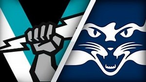 Rd 5: Power v Cats Q3