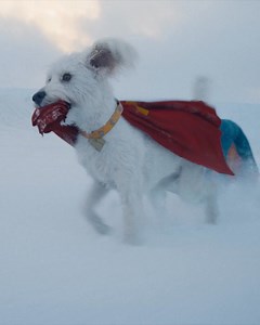 Escape the heat and see SUPERMAN on the BIGGEST screen 🤜 Experience it in IMAX now! | DC Comics