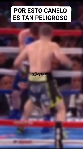😬POR ESTO CANELO ES TAN PELIGROSO 🥊 #boxeo #boxingtraining #canelo #knockout #parati | Puños de Acero