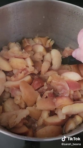 Homemade No-Sugar Added Applesauce Canning Guide