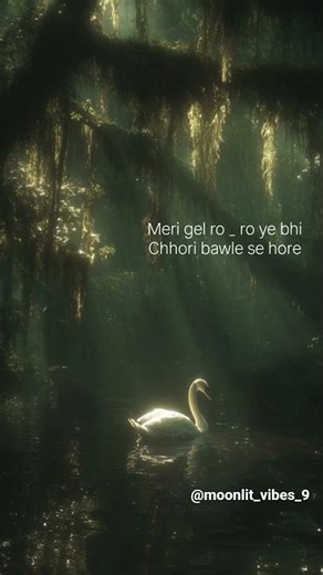 bairan 🕊✨️ #song #love #music #bairan