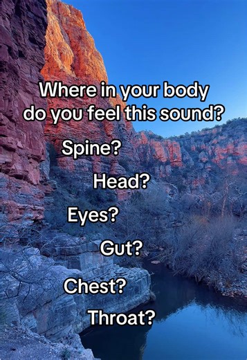 Where Do You Feel This Sound in Your Body?