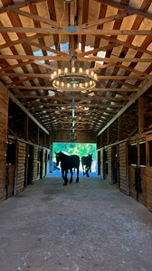 Just another good morning with the NCTA Caisson Unit. #nctacaisson #ncshp #horse #caisson | NCTA Caisson Unit