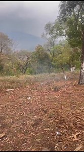 Kukina Nongmei kapnasi lko hyna hwrakhre | Kwakeithel 360