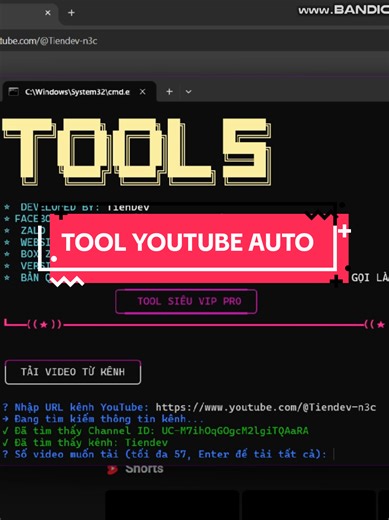 Herramienta Automática para YouTube en Python