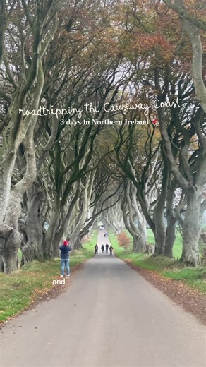 Exploring Northern Ireland: A Cozy Road Trip Adventure