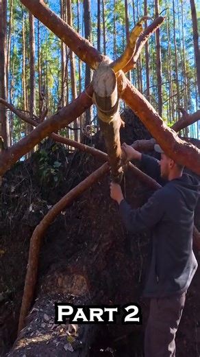 Building a Cozy Log Cabin with Clay Stove
