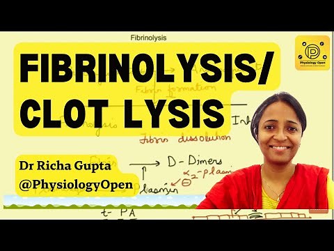 Fibrinolysis (clot lysis) mechanism | Hematology | Blood physiology MBBS 1st year lecture
