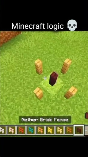 Minecraft logic 💀#minecraft