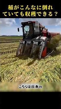 Kubota Combine Harvester Technology for Harvesting Lodged Rice #AgriculturalMachinery #LatestAgri...