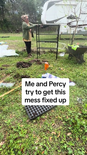 Emotional Support Piglet: Percy’s Journey