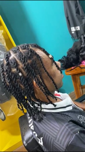 Braid Street on Instagram: "Twist Braid 🙌 #twistbraid #braidstyles #braidideas #braid #braids"