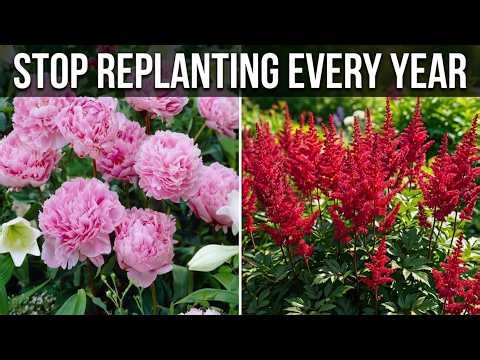 7 BEST Perennials to Plant This Spring (That Come Back Every Year) 😱