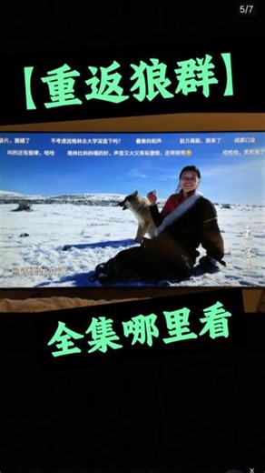 动作亖亗焻脀丙多好 重返狼群纪录片全集完整版教程来了，1-12全集，电影版本都有。 简直不要太感动，大学生的我都哭了 #重返狼群纪录片 #格林 #狼王 #纪录片 #重返狼群全集