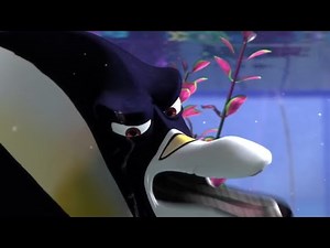 FINDING NEMO - WE SHOULD SAVE NEMO!! | EVERYONE HELP NEMO | SPONSORED BY KLASKY CSUPO EFFECTS