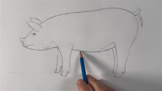 11K views · 169 reactions | Draw a realistic pig!  (Part 2 of 2) | Mark Liam Smith | Facebook