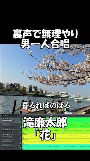 【男一人合唱】花/滝廉太郎 #shorts #歌ってみた #合唱 #花 #滝廉太郎 #studioone