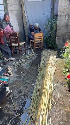 Mexicano promedio TV on Reels