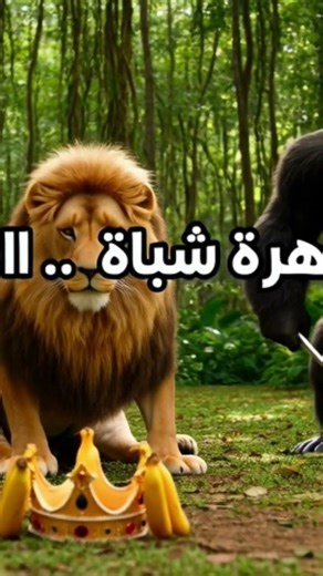 #نكت_الموسم #تجميعة_الضحك_الأصلية #الأسد_#قصص_قصيرة_مضحكة #funny_animals_compilation #arabic_jokes