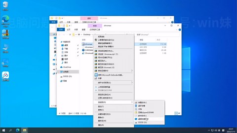 chromas基因测序峰图查看软件安装教程