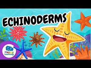 🌊⭐ ECHINODERMS: How Can STARFISH Regrow Their Arms? | Educational Videos | @HappyLearningEN - Videos For Kids