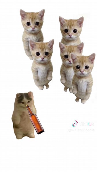 Understanding Alcohol Through Cat Animations
