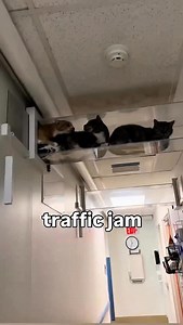 traffic jam in the car tunnel | dancatdad