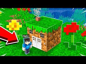 Našel jsem NEJMENŠÍ DŮM Zloděje v Minecraftu!