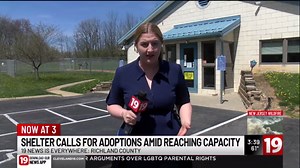 ‘We have no space’: 76 of 119 dogs in Richland County shelter are new intakes from April alone