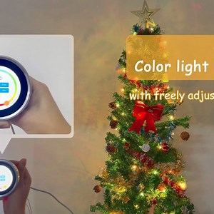 Christmas color light controller