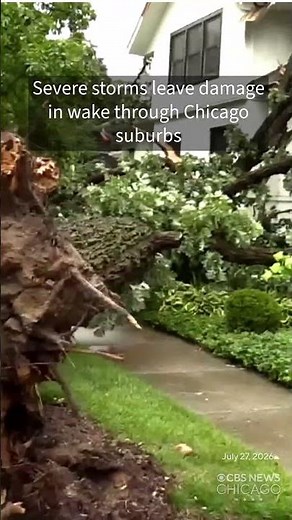 Chicago suburbs littered with storm damage Monday