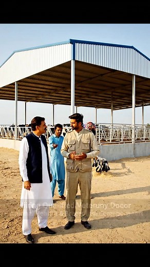 135K views · 4.6K reactions | How to boost up small scale dairy farm...