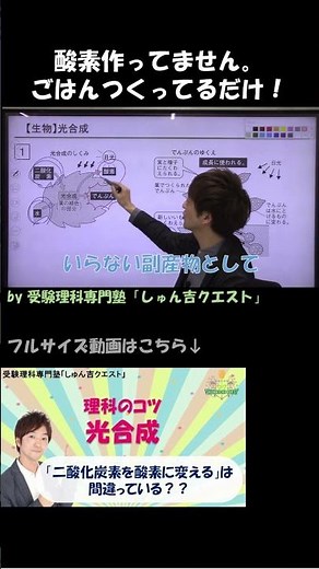 【理科のコツ「光合成」】光合成は“酸素づくり”じゃない！【受験理科専門塾しゅん吉クエスト】