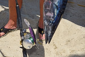 Rapala X-Rap Magnums – Wahoo To Tuna, Ready To Troll | BDOutdoors