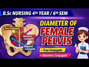 Diameter of the pelvis, l True Conjugate, Obstetric Conjugate & Diagonal Conjugate Explained🔥